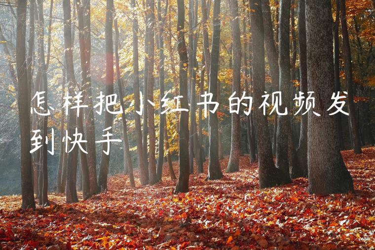 怎样把小红书的视频发到快手