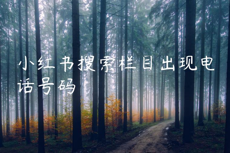小红书搜索栏目出现电话号码