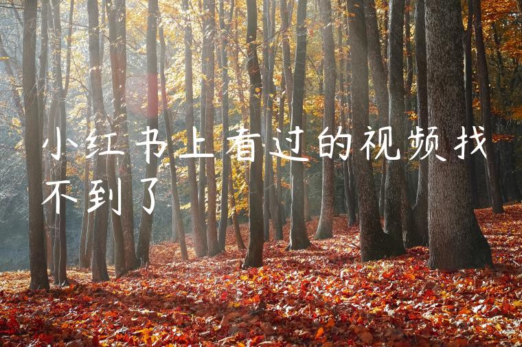 小红书上看过的视频找不到了