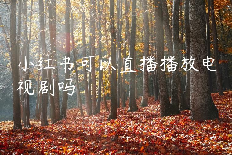 小红书可以直播播放电视剧吗