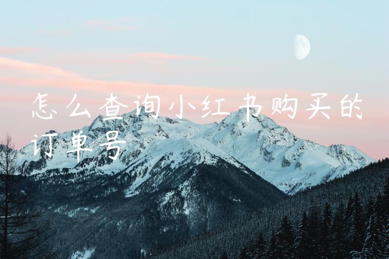 怎么查询小红书购买的订单号