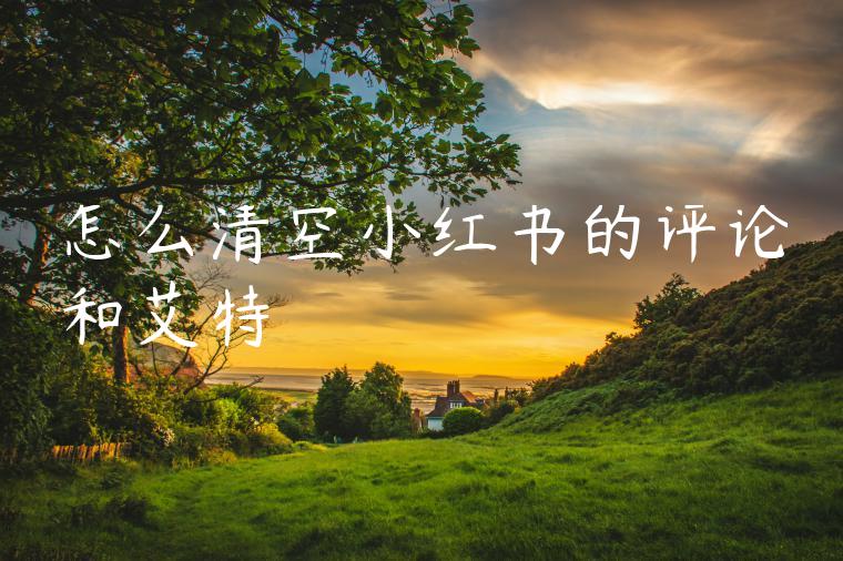 怎么清空小红书的评论和艾特 怎么清空小红书的评论和艾特