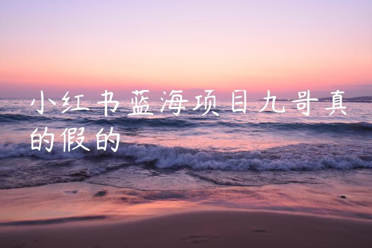 小红书蓝海项目九哥真的假的