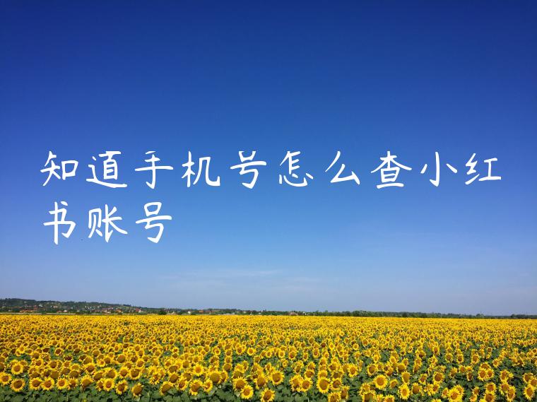 知道手机号怎么查小红书账号 知道手机号怎么查小红书账号