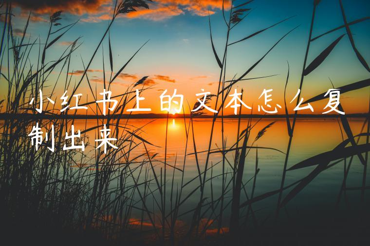 小红书上的文本怎么复制出来 小红书上的文本怎么复制出来