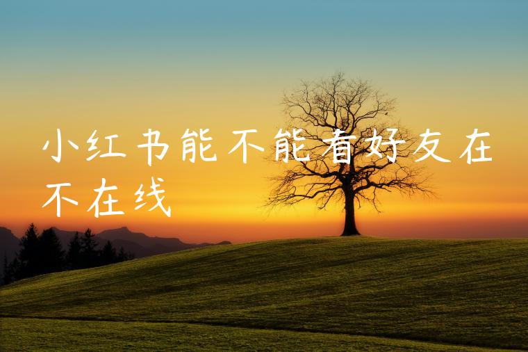 小红书能不能看好友在不在线 小红书能不能看好友在不在线