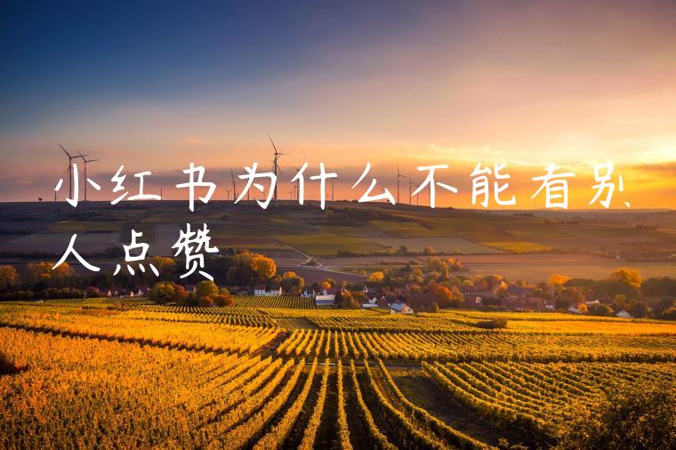 小红书为什么不能看别人点赞