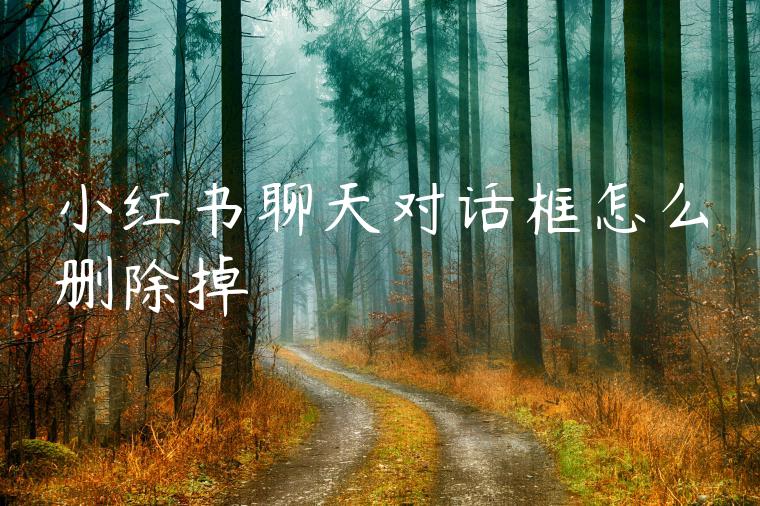 小红书聊天对话框怎么删除掉