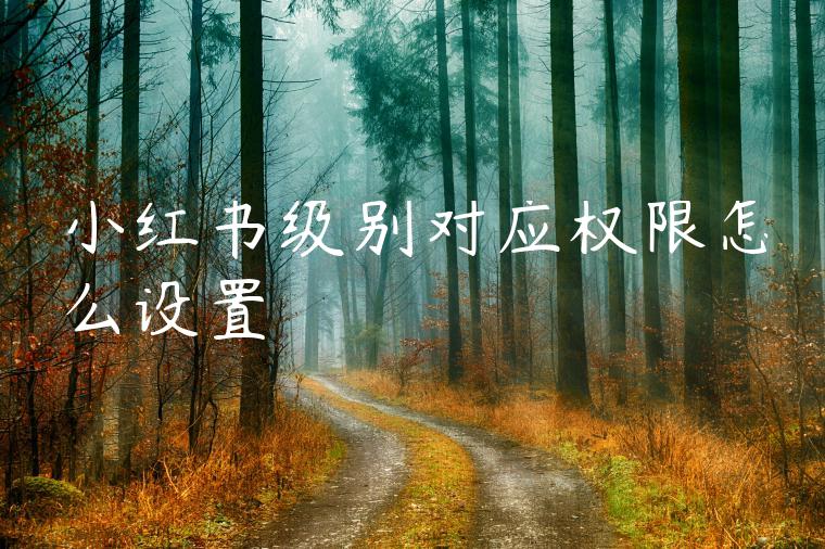 小红书级别对应权限怎么设置 小红书级别对应权限怎么设置