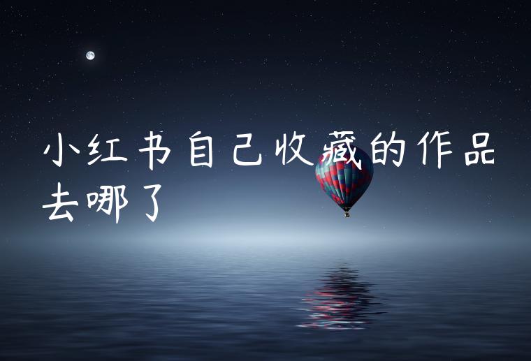小红书自己收藏的作品去哪了