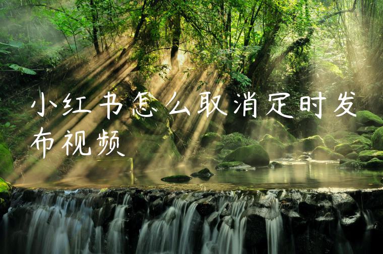 小红书怎么取消定时发布视频