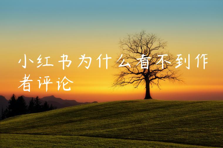 小红书为什么看不到作者评论 小红书为什么看不到作者评论