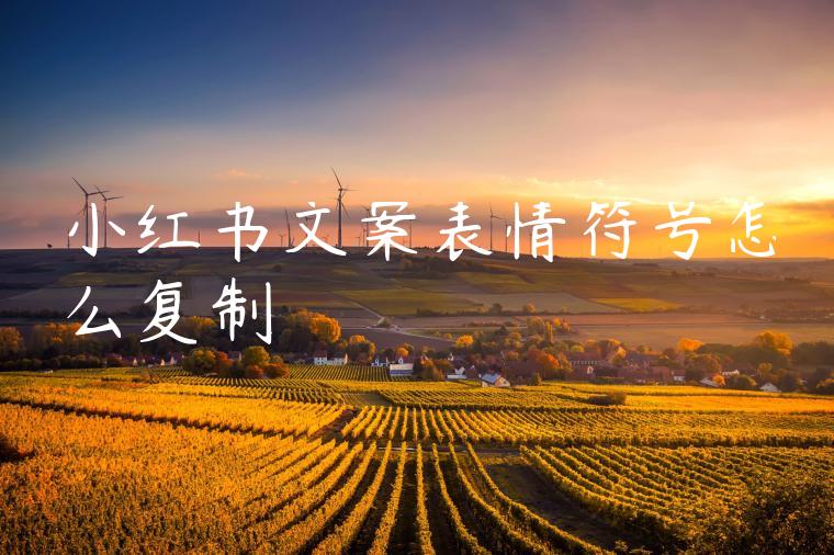 小红书文案表情符号怎么复制 小红书文案表情符号怎么复制