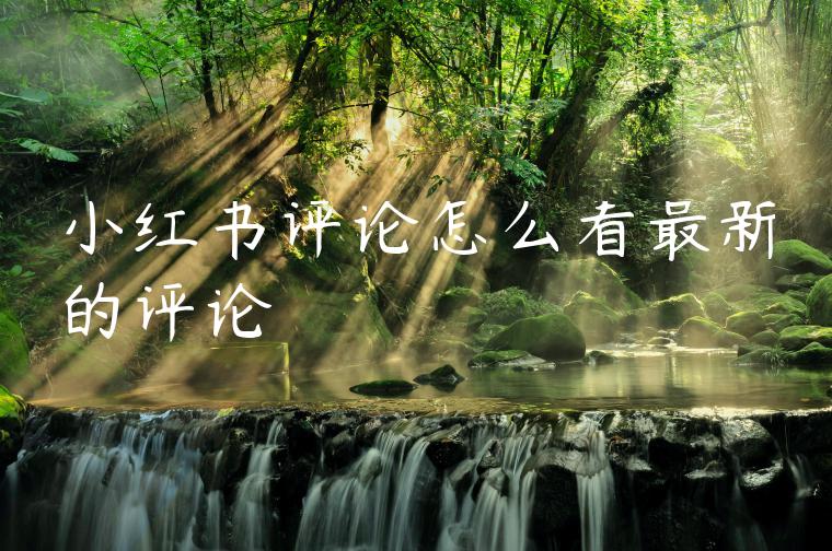 小红书评论怎么看最新的评论 小红书评论怎么看最新的评论