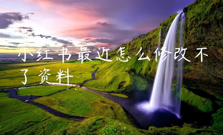 小红书最近怎么修改不了资料 小红书最近怎么修改不了资料