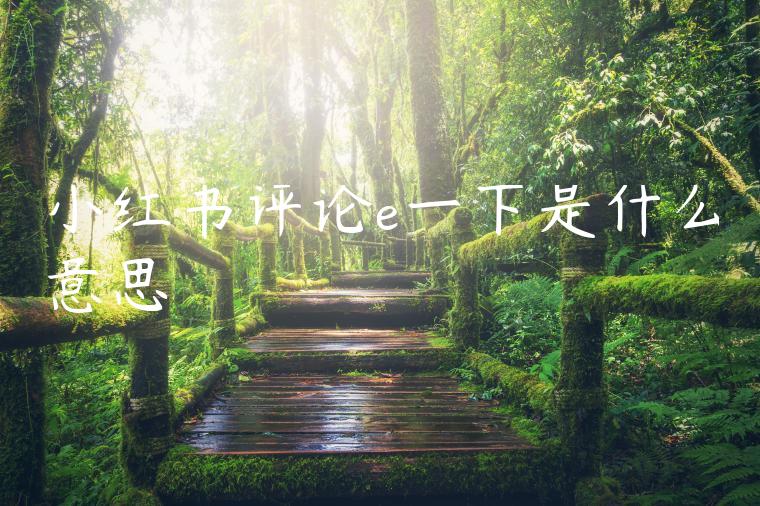 小红书评论e一下是什么意思