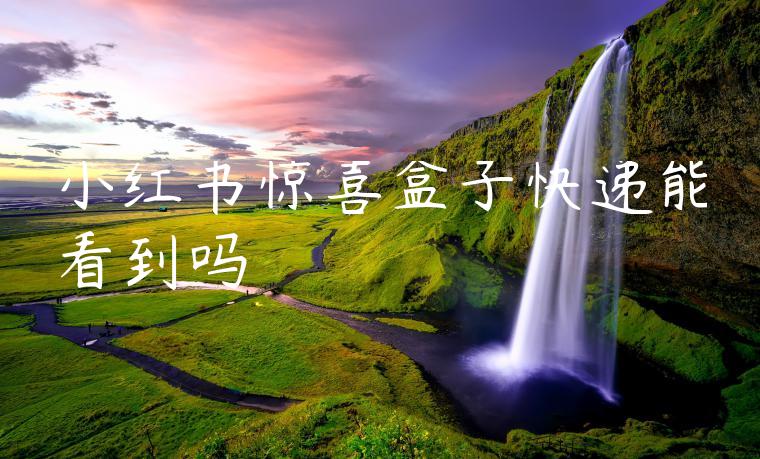 小红书惊喜盒子快递能看到吗