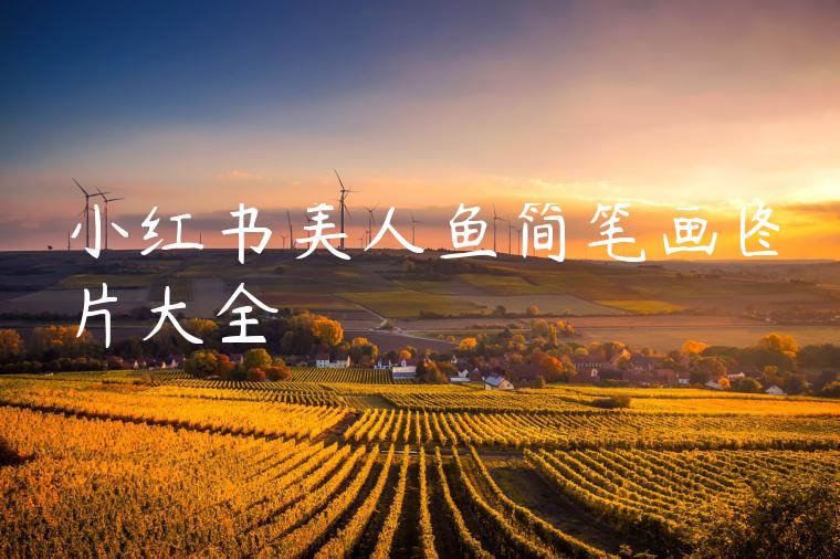 小红书美人鱼简笔画图片大全