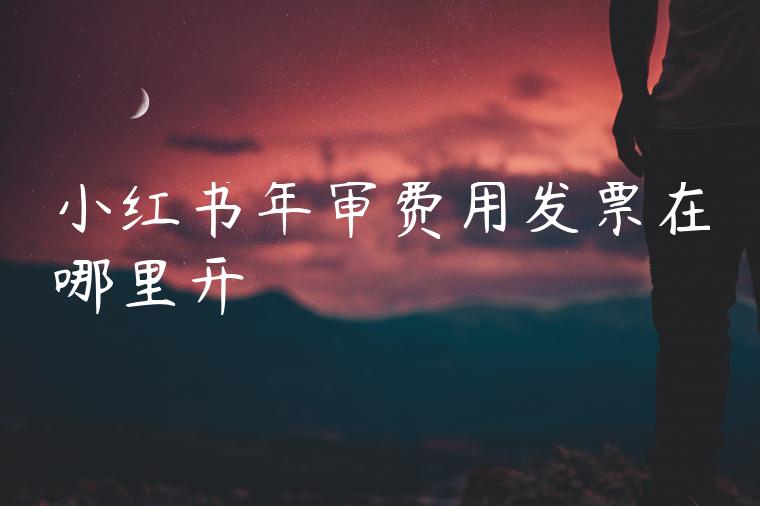 小红书年审费用发票在哪里开