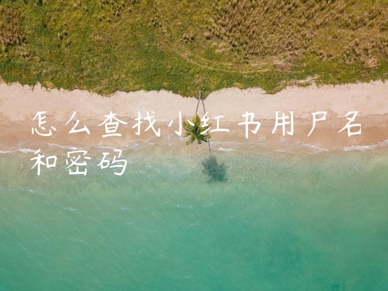 怎么查找小红书用户名和密码