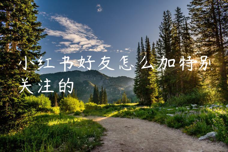 小红书好友怎么加特别关注的 小红书好友怎么加特别关注的