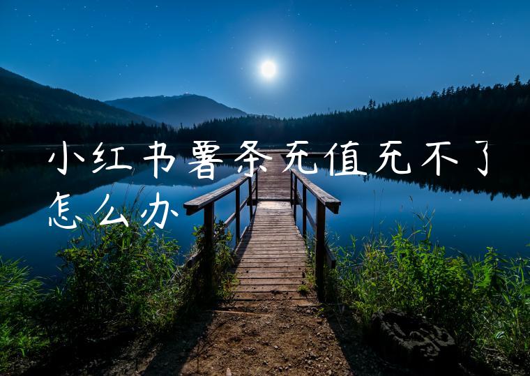 小红书薯条充值充不了怎么办 小红书薯条充值充不了怎么办