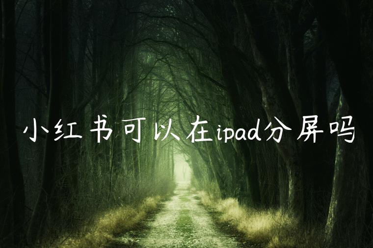 小红书可以在ipad分屏吗 小红书可以在ipad分屏吗