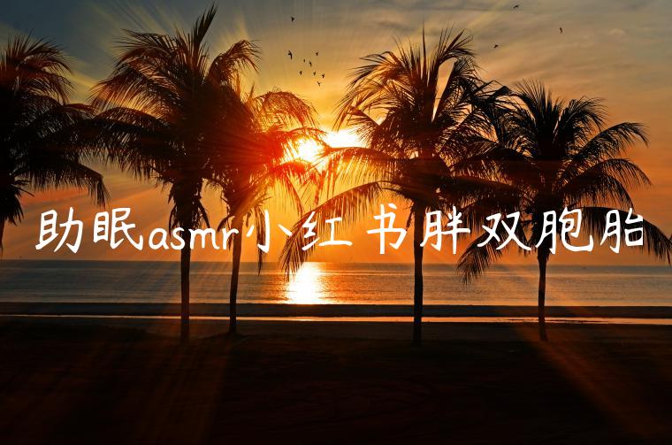 助眠asmr小红书胖双胞胎