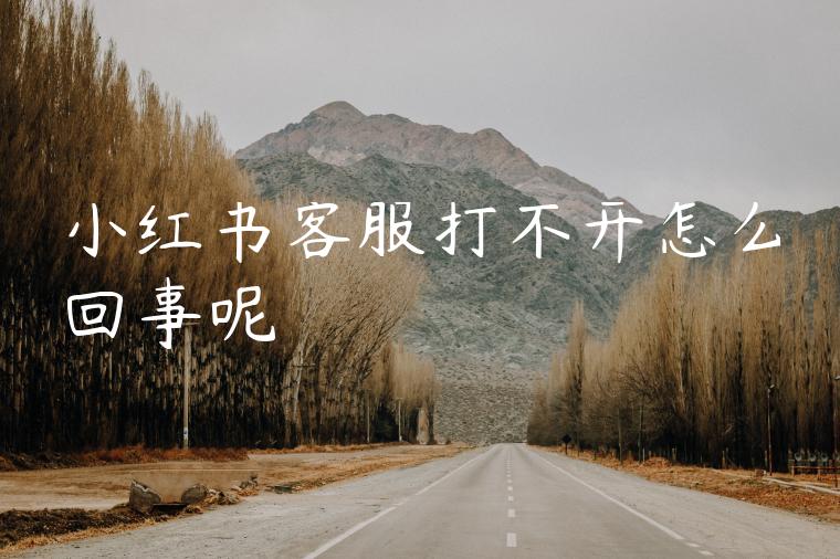 小红书客服打不开怎么回事呢 小红书客服打不开怎么回事呢