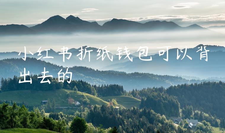 小红书折纸钱包可以背出去的 小红书折纸钱包可以背出去的