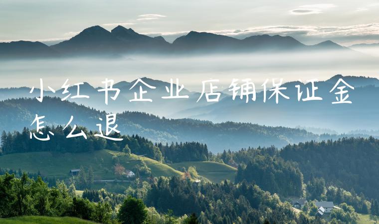 小红书企业店铺保证金怎么退