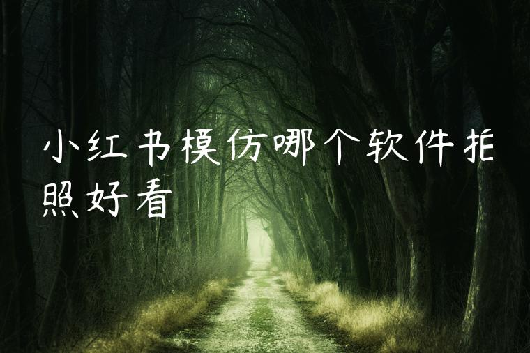 小红书模仿哪个软件拍照好看