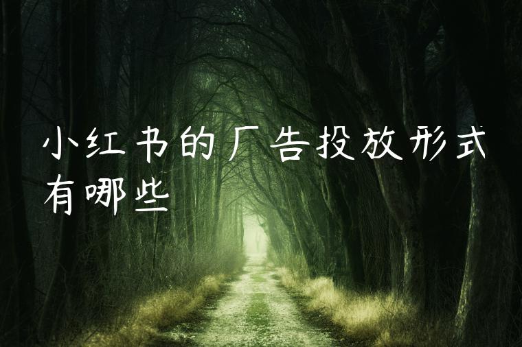小红书的广告投放形式有哪些 小红书的广告投放形式有哪些