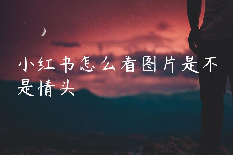 小红书怎么看图片是不是情头 小红书怎么看图片是不是情头