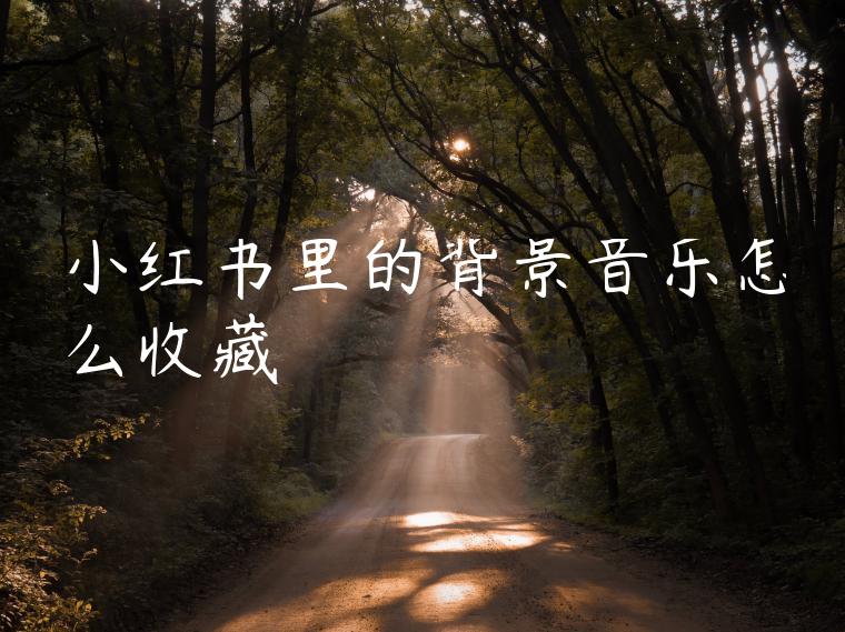 小红书里的背景音乐怎么收藏 小红书里的背景音乐怎么收藏