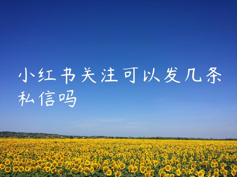 小红书关注可以发几条私信吗