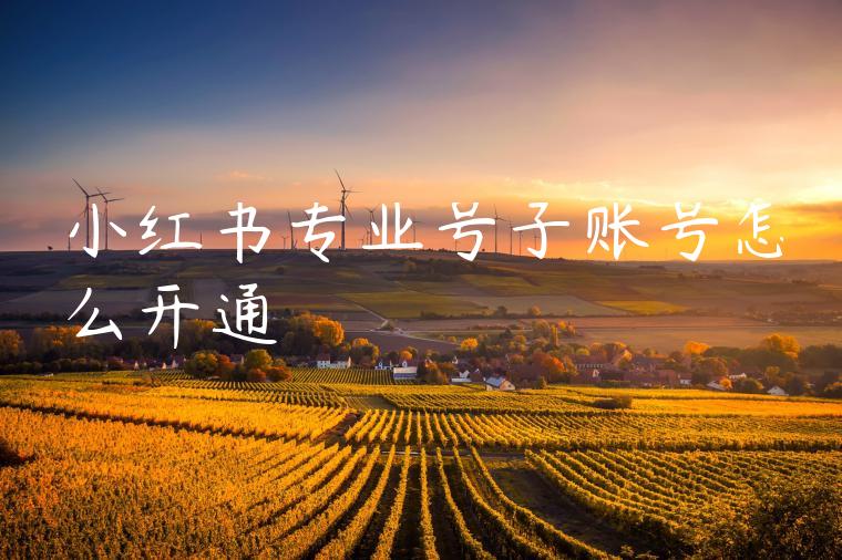 小红书专业号子账号怎么开通