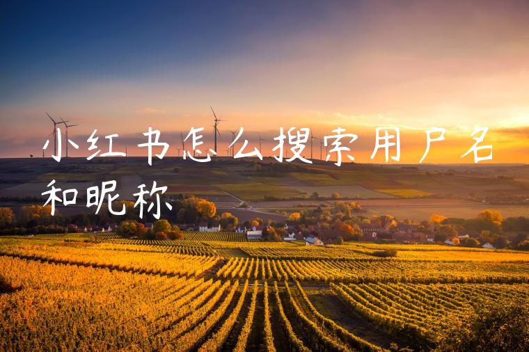 小红书怎么搜索用户名和昵称