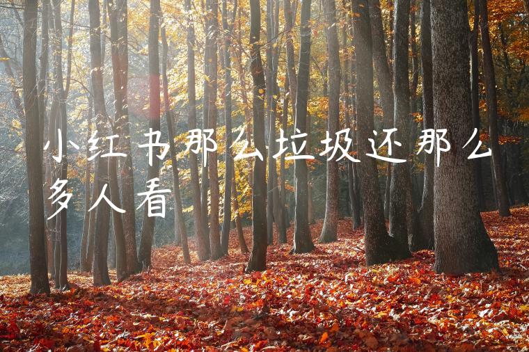 小红书那么垃圾还那么多人看 小红书那么垃圾还那么多人看