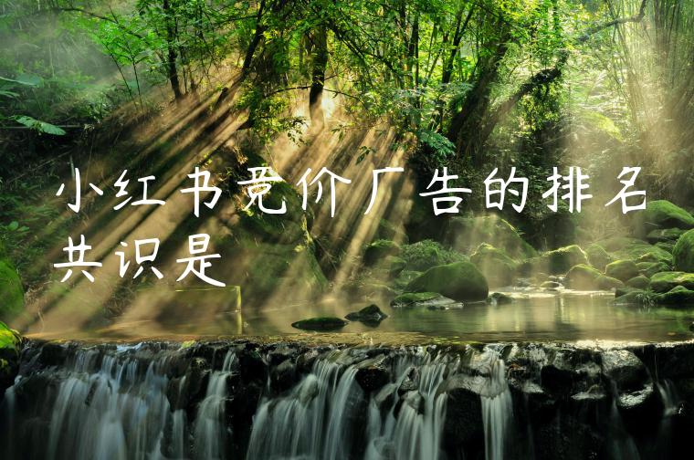 小红书竞价广告的排名共识是 小红书竞价广告的排名共识是