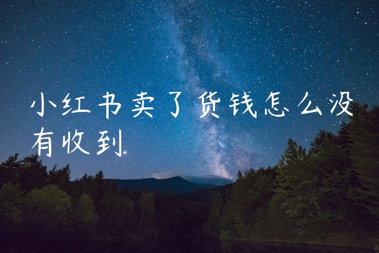 小红书卖了货钱怎么没有收到