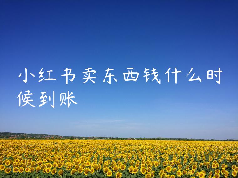 小红书卖东西钱什么时候到账 小红书卖东西钱什么时候到账