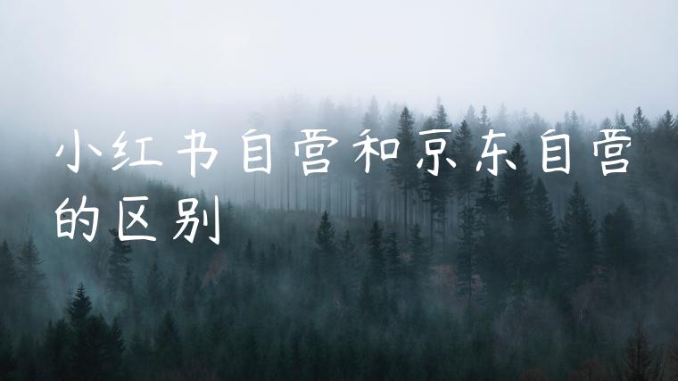 小红书自营和京东自营的区别