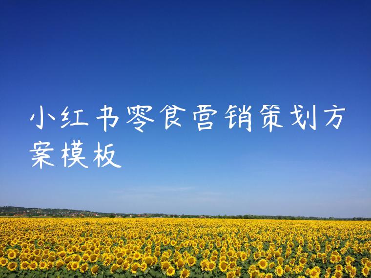 小红书零食营销策划方案模板 小红书零食营销策划方案模板