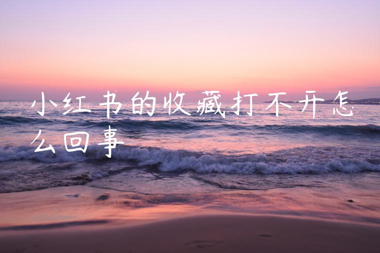 小红书的收藏打不开怎么回事 小红书的收藏打不开怎么回事