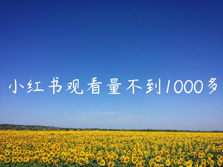 小红书观看量不到1000多 小红书观看量不到1000多