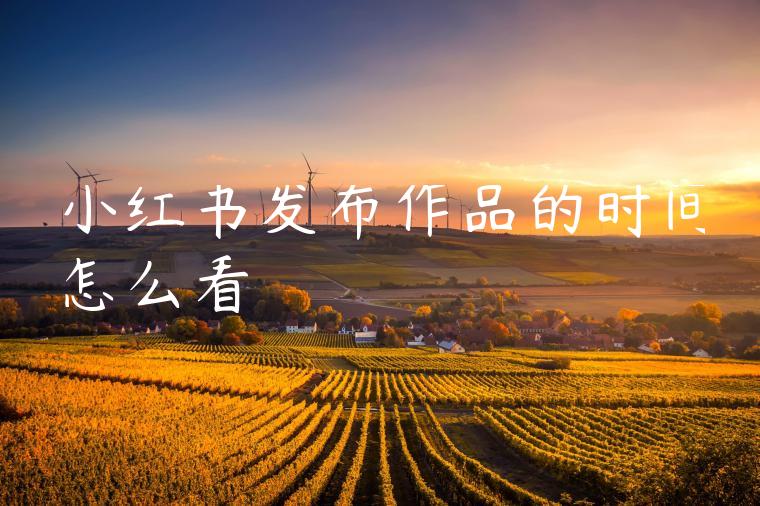 小红书发布作品的时间怎么看