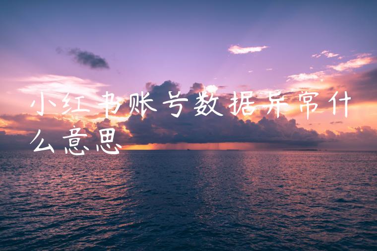 小红书账号数据异常什么意思