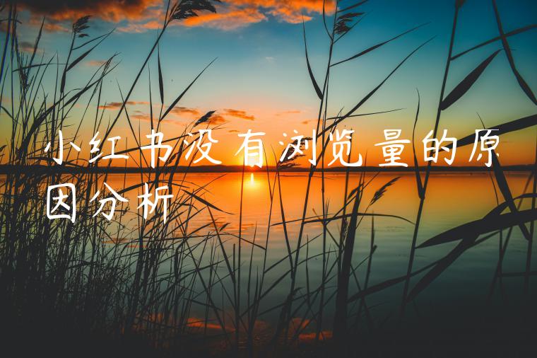 小红书没有浏览量的原因分析 小红书没有浏览量的原因分析