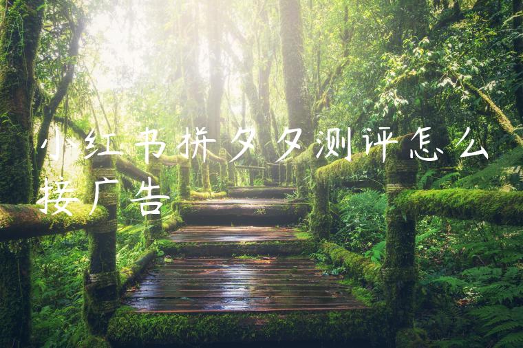 小红书拼夕夕测评怎么接广告